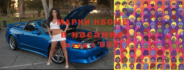 стаф Волосово