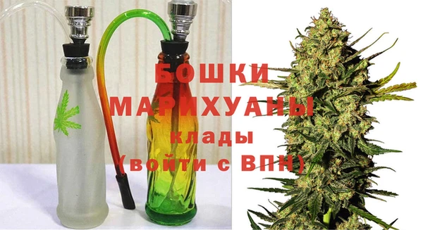 стаф Волосово